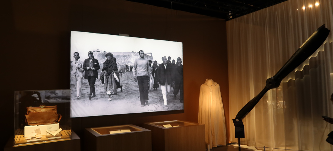 Exposition à ne pas manquer à Lyon : Un Petit Prince parmi les Hommes