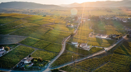 5 raisons de profiter du département du Rhône cet été
