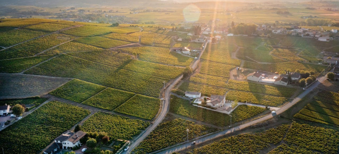 Découvrez 5 raisons de profiter du département du Rhône cet été